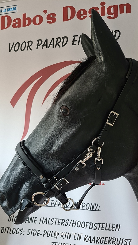 KOOPJE - Halster-hoofdstel 16mm cob-full met 3 GRATIS frontriemen naar keuze!