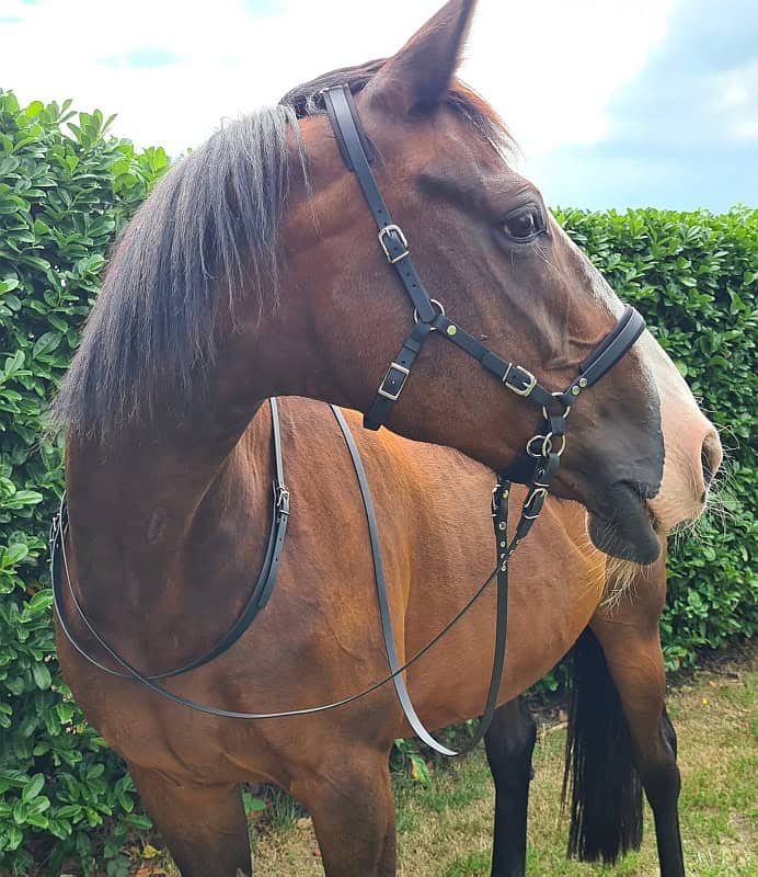 Neckrope - Balansteugel BioThane® 'de Luxe'