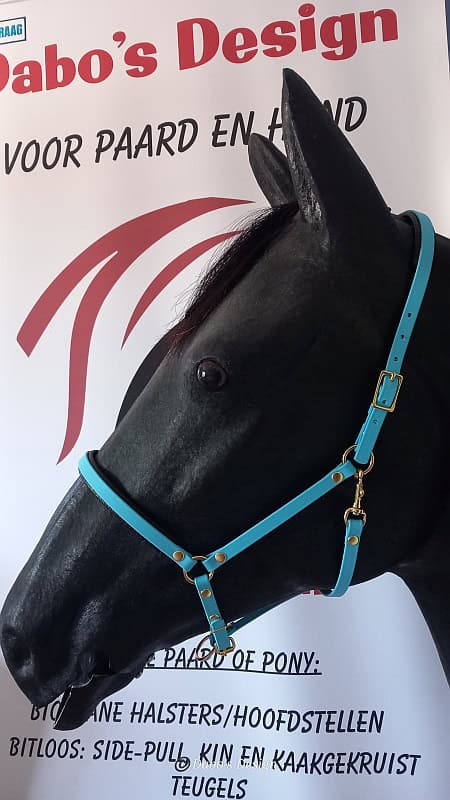 Show-halster BioThane® 12mm