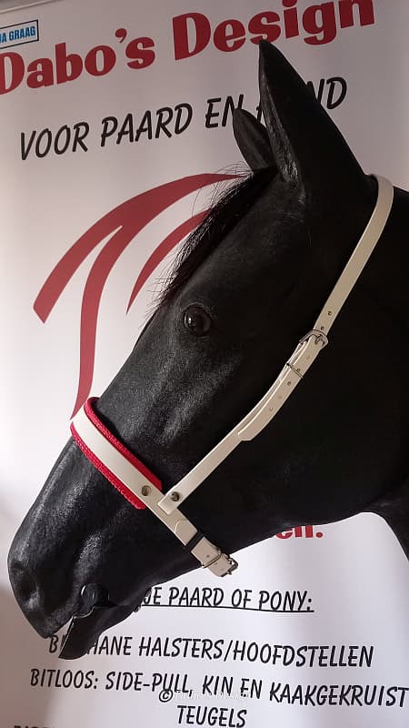 Engelse Neusriem BioThane®