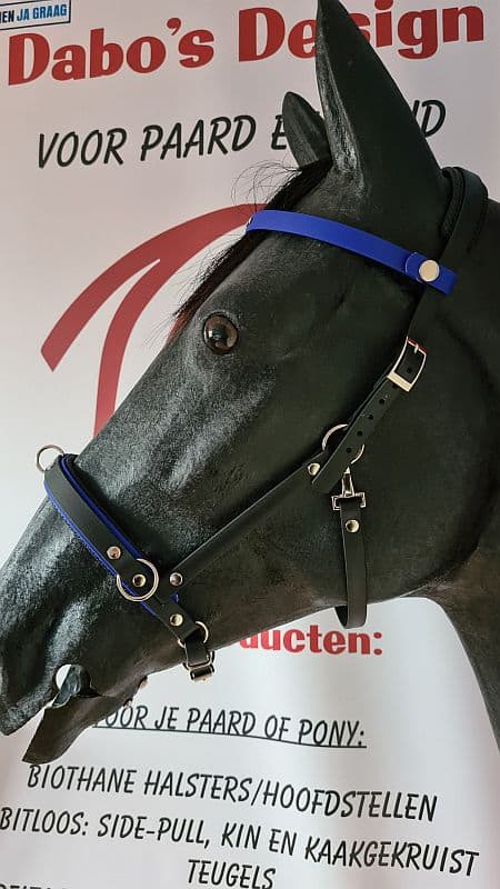 BioThane® Kaptoom II