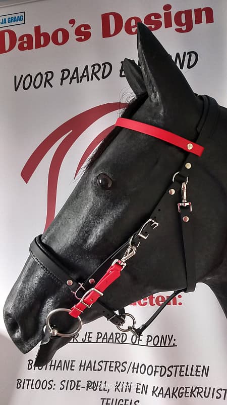 Halster-Hoofdstel met Bithangers II 16mm