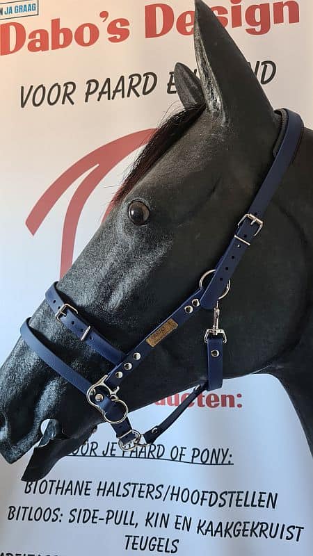 BRIES-Trainings-halster BioThane®